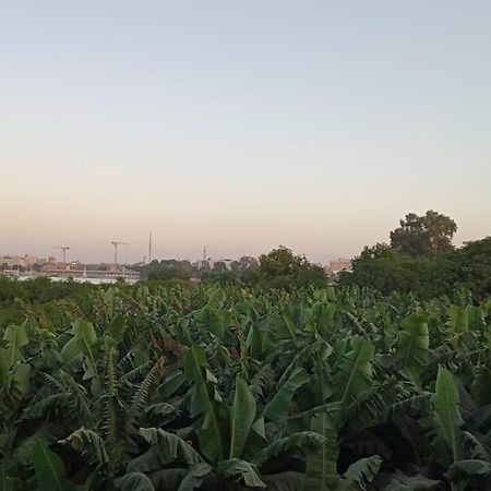 לוקסור Tomorrow Land Villa מראה חיצוני תמונה